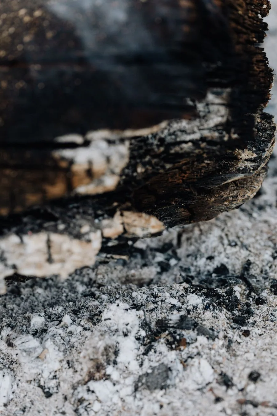 Close-up of charred wood and burned debris showing the texture of fire residue and ash.